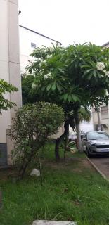 Rio de Janeiro: Condom&iacute;nio fechado em Iraj&aacute; 2