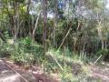 Itabirito: Terreno de 1000m2 Itabirito-MG