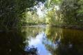 Santo Amaro da Imperatriz: Sitio com casas, rio, agua pura, natureza