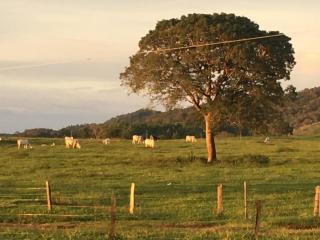 Formoso: Fazenda de alto padr&atilde;o em Formoso-GO para Lavoura e pecu&aacute;ria com 982 hectares. 7