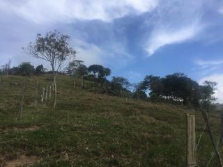 Paulo Lopes: Terreno Vista Mar a 1.500 metros da praia da Gamboa - Garopaba/SC 3