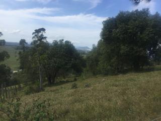 Paulo Lopes: Terreno Vista Mar a 1.500 metros da praia da Gamboa - Garopaba/SC 4