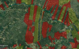 Cotegipe: Fazenda Senhor do Bomfim 2