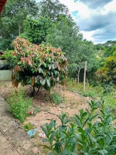 Mimoso de Goiás: vendo fazenda 1