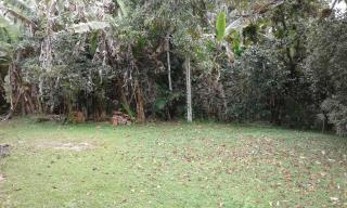 Guaratuba: Im&oacute;vel Rural 2