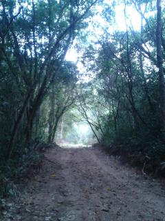 Taba&iacute;: SITIO AGROECOLOGICO 1