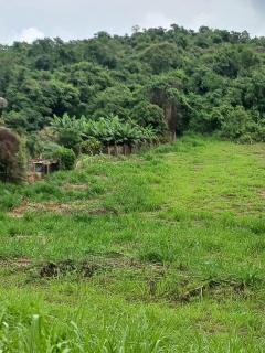 Londrina: Ch&aacute;cara na Estrada a Cegonha de 5 000 Mts 2
