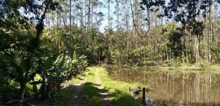 Joinville: Terreno Área Rural Oportunidade para Investidores 2
