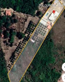 Guaraciaba do Norte: Ch&aacute;cara com Casa de alto padr&atilde;o com estrutura diversa. 5