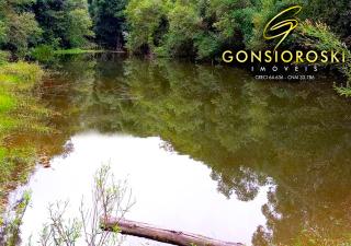 Sentinela do Sul: S&iacute;tio de 41,8 hectares produtor de Eucalipto em Sentinela do Sul - RS 6