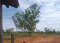 Várzea da Palma: Vendo fazenda com 241 hectares no norte de Minas Gerais