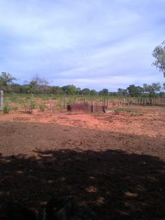 Várzea da Palma: Vendo fazenda com 241 hectares no norte de Minas Gerais 6