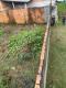 Terreno Barato em Ananindeua