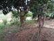 Vendo lote/terreno 350m2