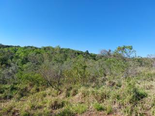 Gravataí: Vendo um ótimo sítio 3