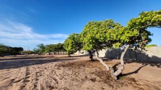 Aracati: Terreno de 4665m2 para vender 5