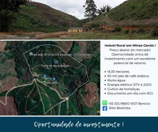 Simonésia: Sítio à venda com 18,35 hecatres e 53 mil pés de café 7