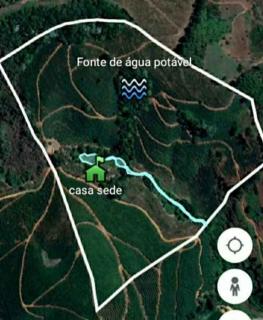 Simonésia: Sítio à venda com 18,35 hecatres e 53 mil pés de café 8