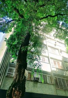 Rio de Janeiro: Apartamento Tijuca RJ 3