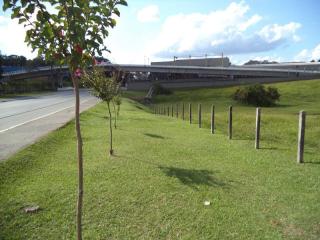 Blumenau: Excelente terreno com topografia plana entre Blumenau e Pomerode em SC. 1