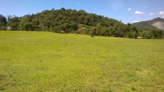 Blumenau: Excelente terreno com topografia plana entre Blumenau e Pomerode em SC. 2