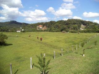 Blumenau: Excelente terreno com topografia plana entre Blumenau e Pomerode em SC. 3