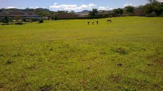 Blumenau: Excelente terreno plano com 33.190 m² entre Blumenau e Pomerode em SC. 4
