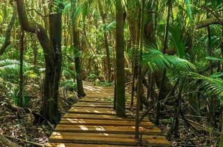 Águas de Santa Bárbara: PROPRIEDADE FANTÁSTICA EM SANTA BÁRBARA 7