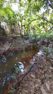 Recife: Propriedade 59 hectares tratar direto com o propriet&aacute;rio 1