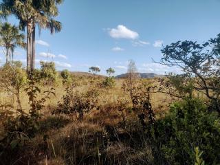 Alto Para&iacute;so de Goi&aacute;s: Sitio de 10,5 ha a 10km de Alto Paraiso de Goias, 2
