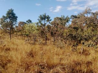 Alto Para&iacute;so de Goi&aacute;s: Sitio de 10,5 ha a 10km de Alto Paraiso de Goias, 7