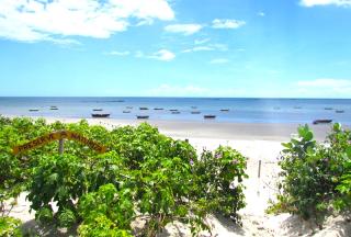 Acara&uacute;: Vendo Lindo Terreno na Beira Mar  ?Praia de Barrinha?  / 247 m2 R$ 450.000.- 5