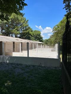 Campo Largo: Vendo Ch&aacute;cara no Bairro Fazendinha, em Campo Largo - PR 3