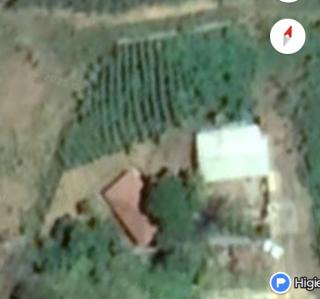 Novo Lino: Sitio terrenos 1