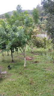 São Lourenço da Serra: Chácara dos Sonhos São Lourenço - Tranquilidade Perto da Cidade! 1.000m2 5