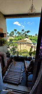 Rio de Janeiro: Apartamento- aluguel 8