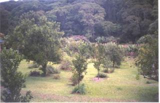 Jarinu: CHACARA EM JARINU 2